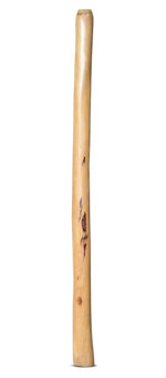 Medium Size Natural Finish Didgeridoo (TW1639)